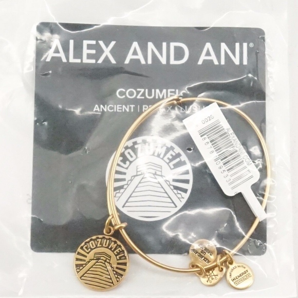 Alex and Ani Cozumel Charm Bangle - Picture 2 of 2